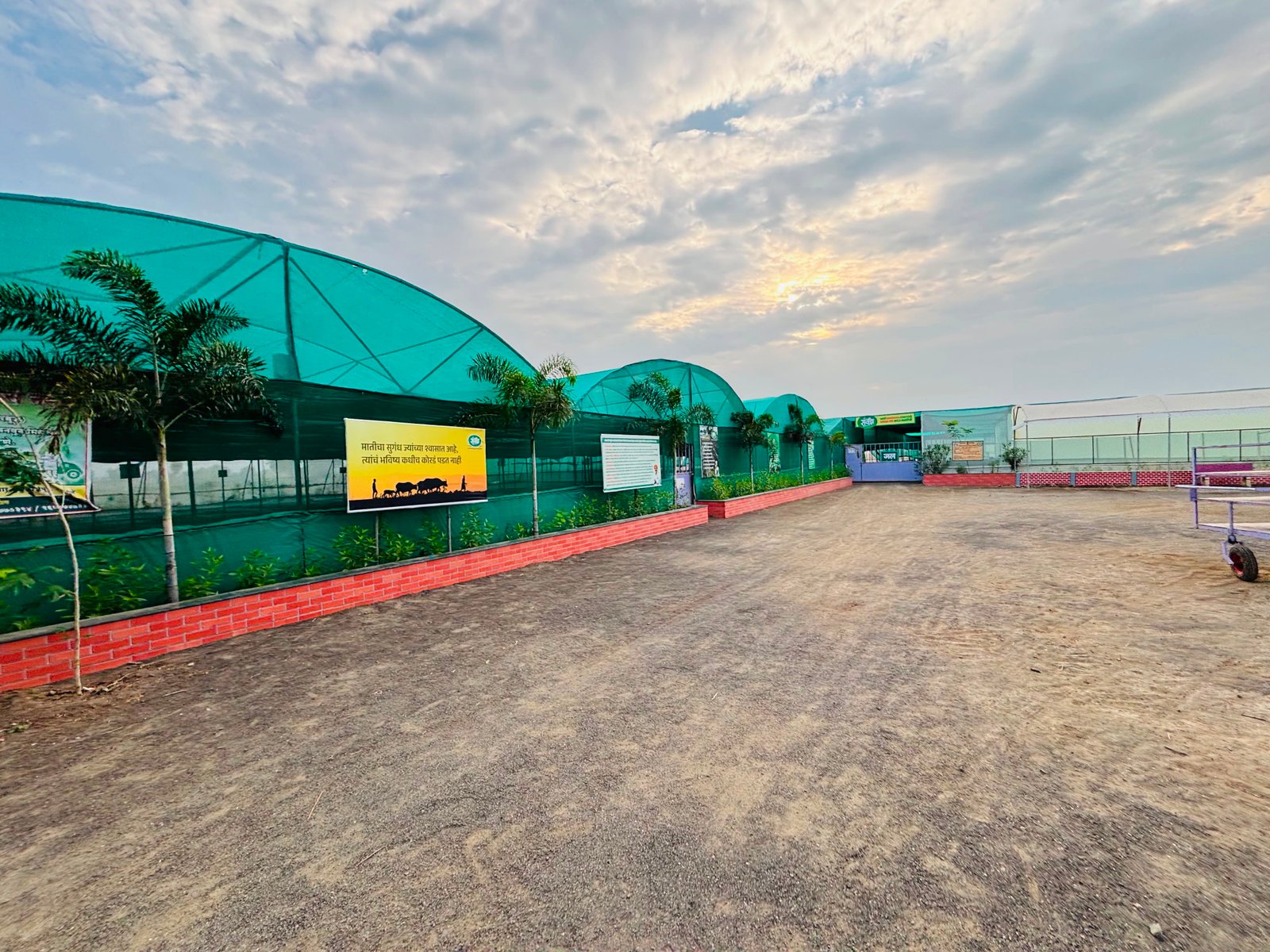 Nursery Infrastucture