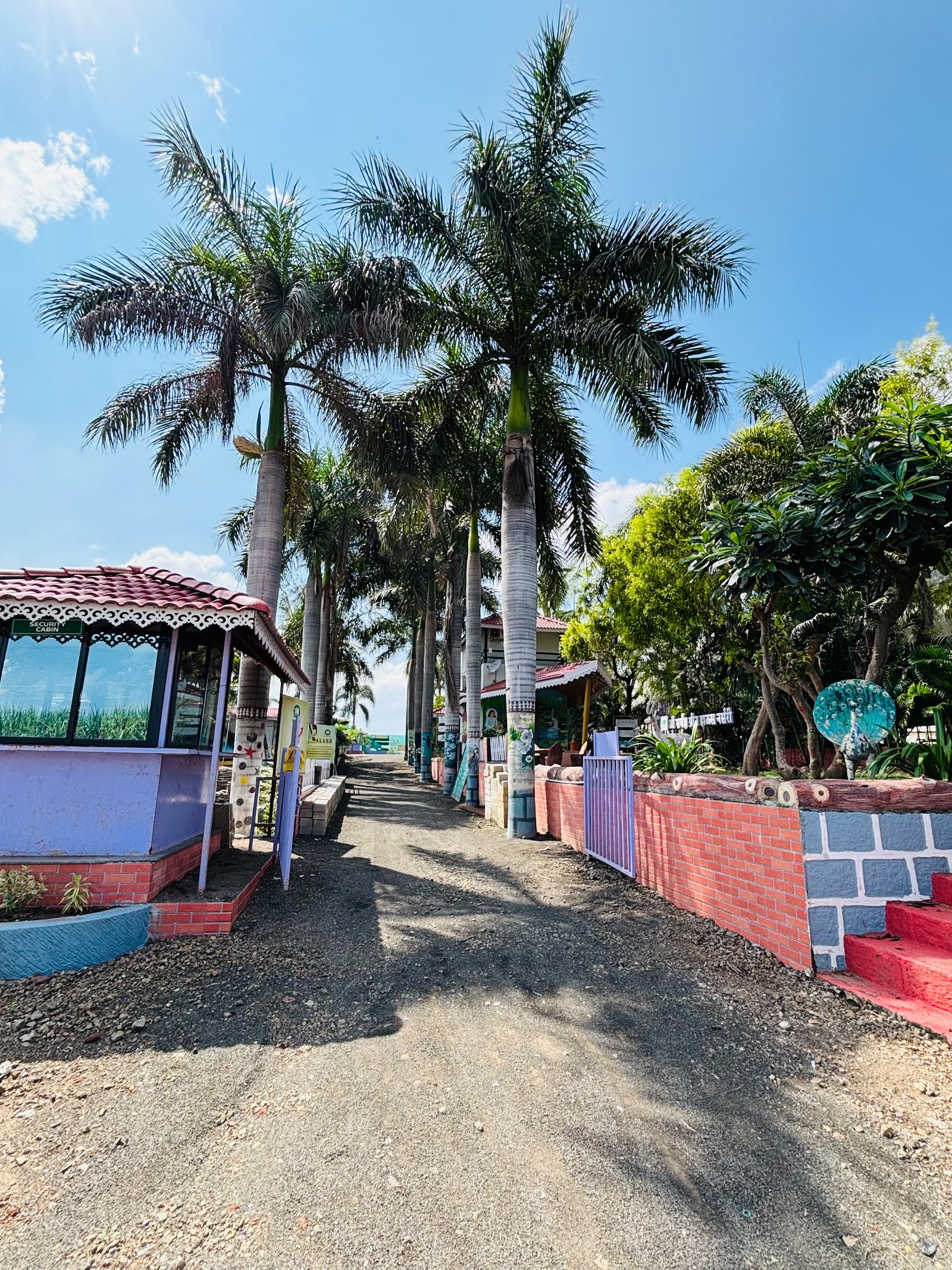 Nursery View