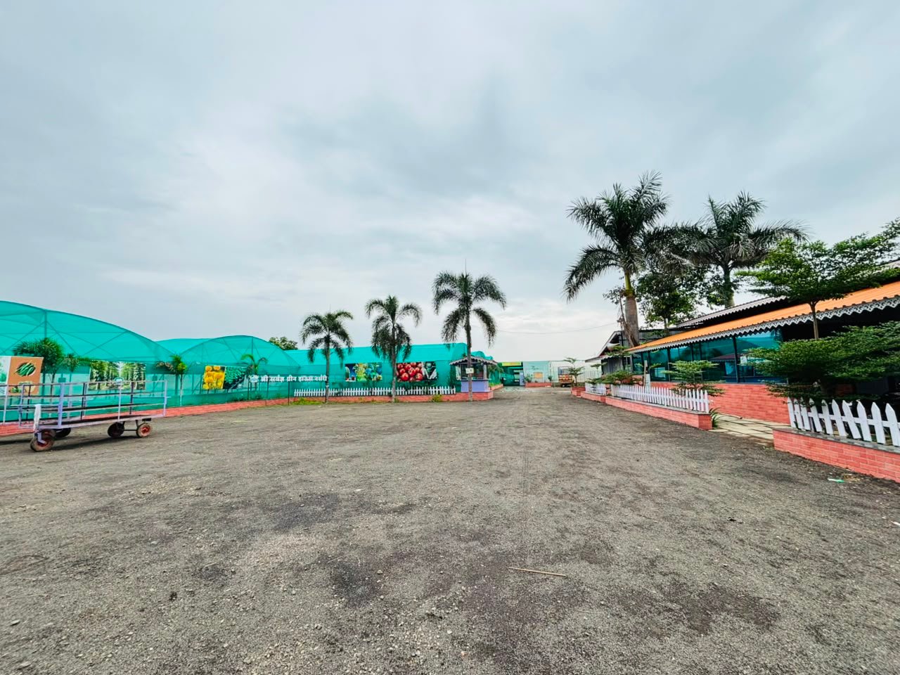 Nursery view