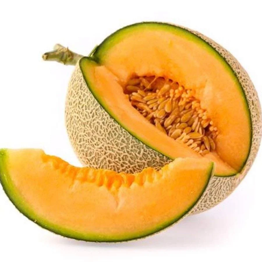 Muskmelon – Kundan