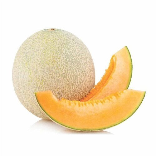 Muskmelon – Layalpur