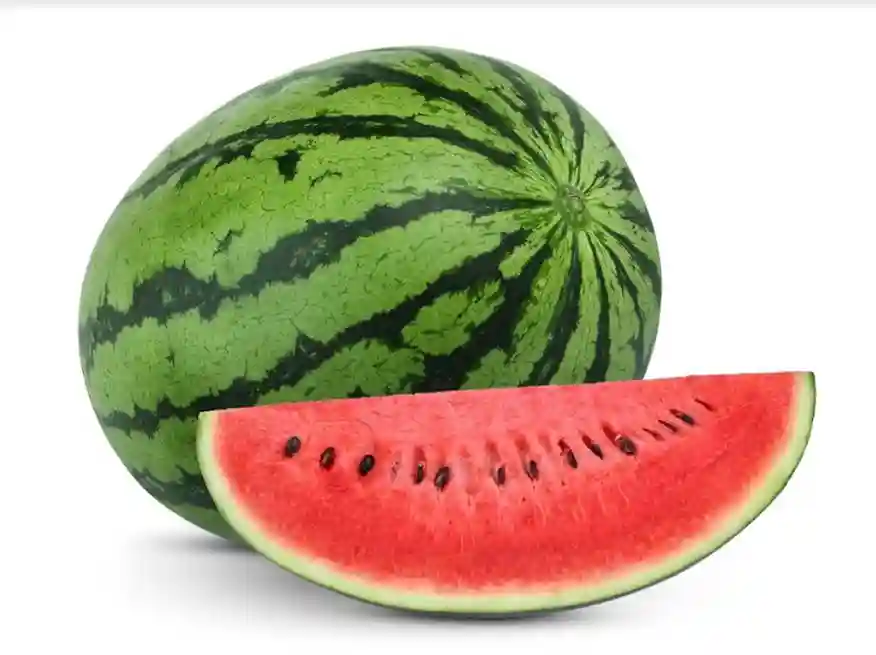 Watermelon – Max
